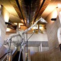 Un nouveau musée à Louvain-la-Neuve