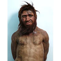 Après 40.000 ans, l'Homme de Spy a enfin un visage! 