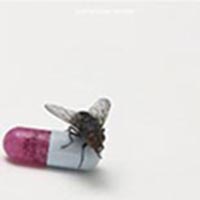 CD: Red Hot Chili Peppers – I’m With You
