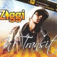 CD: Ziggi - In Transit