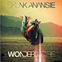 CD: Skunk Anansie - Wonderlustre