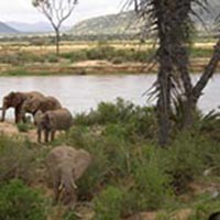 LE KENYA: Le safari le plus spectaculaire du monde